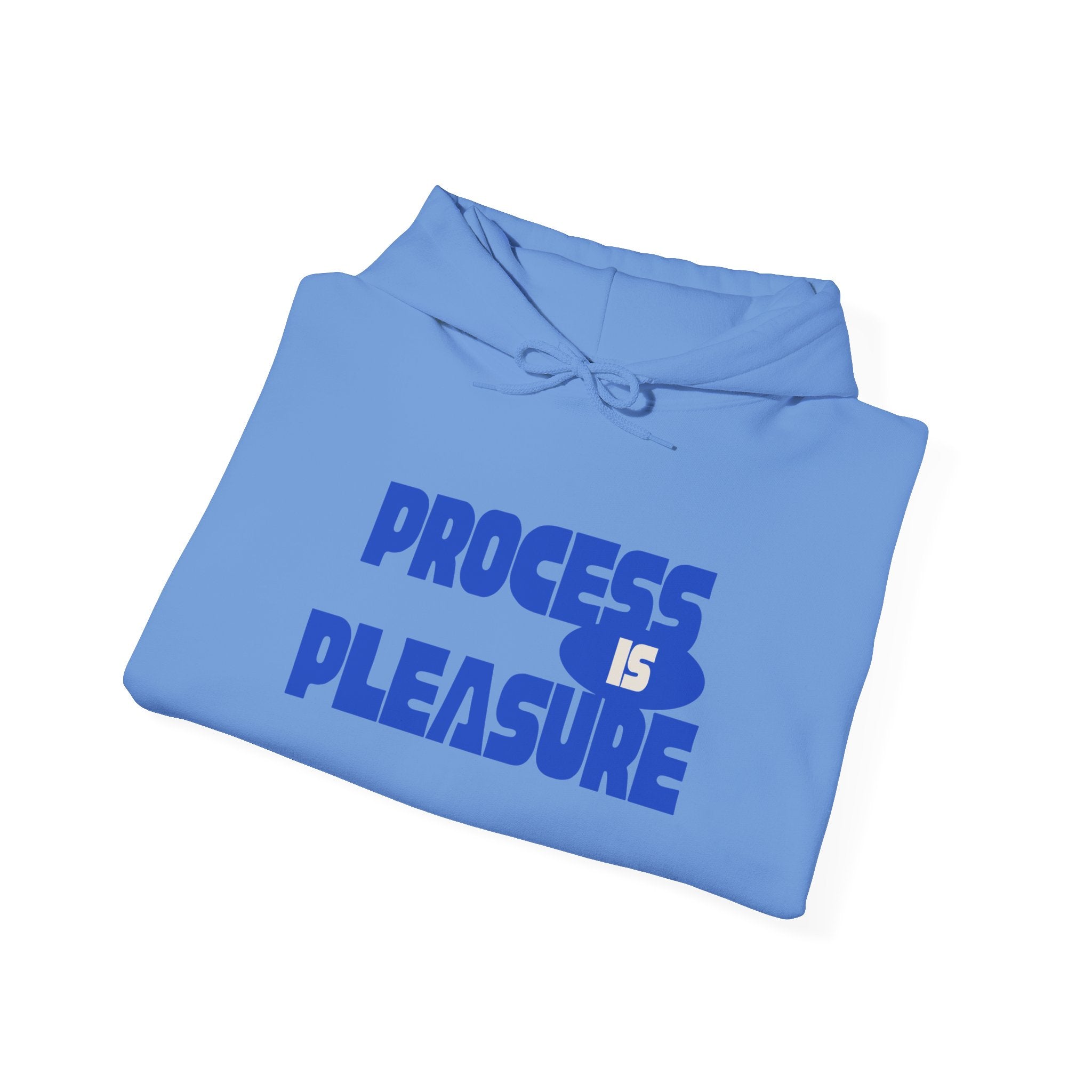 Process is Pleasure Hoodie // Soft Cotton Hooded Sweatshirt - Process Hoodie