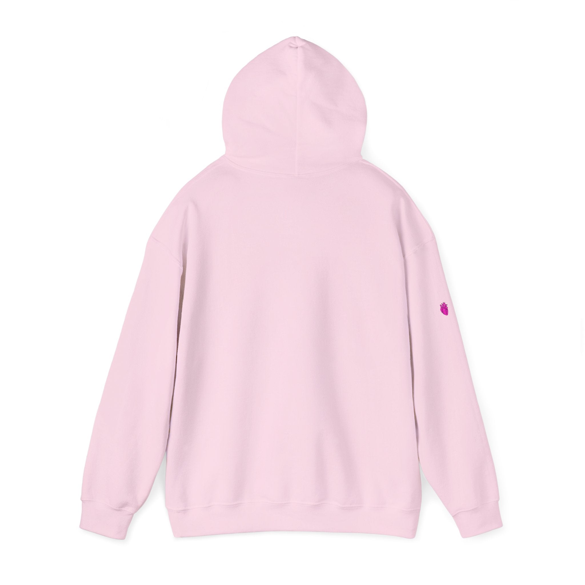 No Fault Divorce Saves Men's Lives Hoodie // Soft Cotton Hooded Sweatshirt - Statement Hoodie