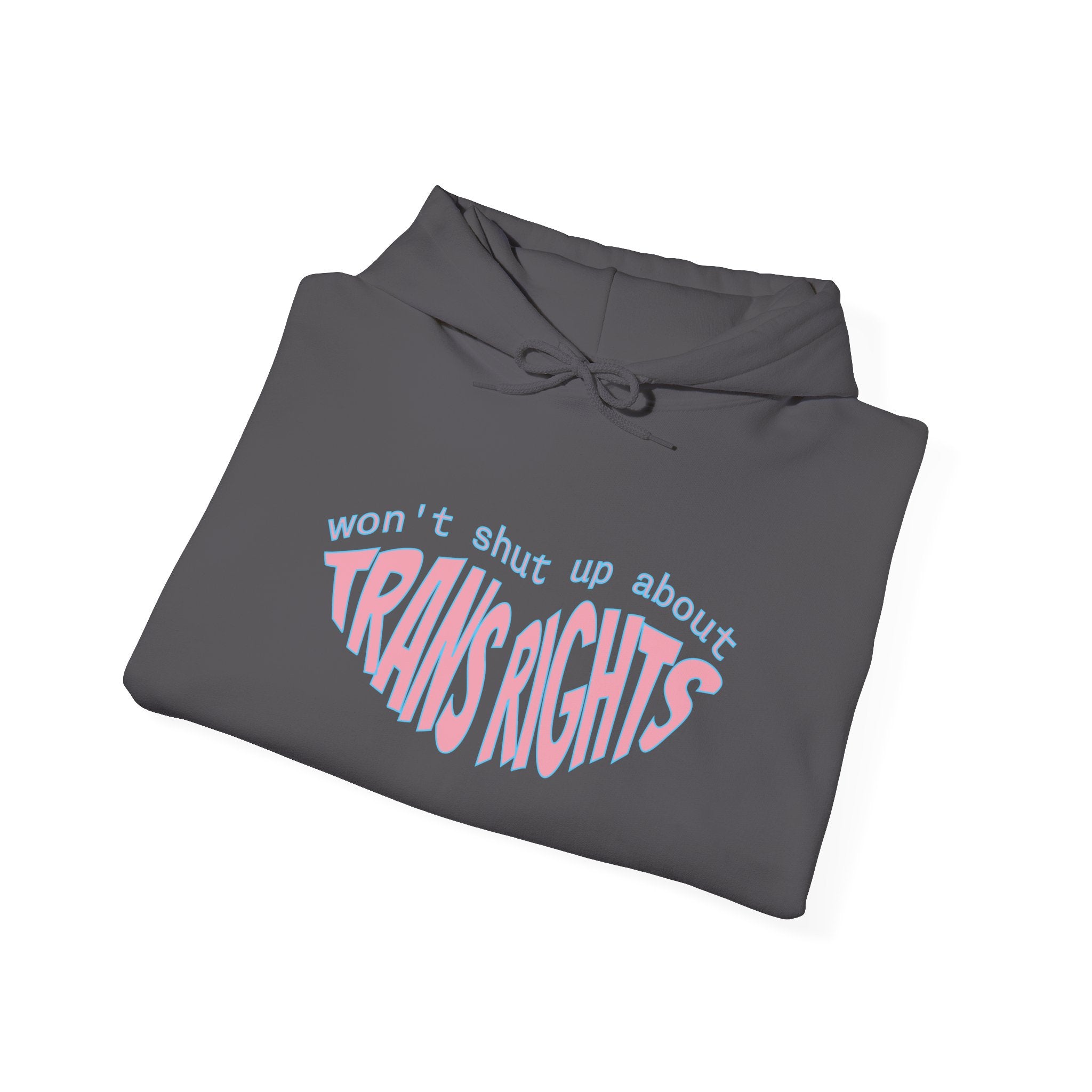 Won't Shut Up About Trans Rights Hoodie // Soft Cotton Hooded Sweatshirt - Trans Rights Hoodie